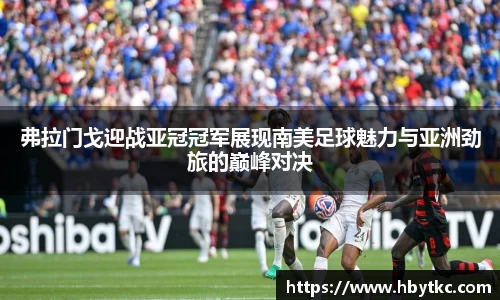 JN体育